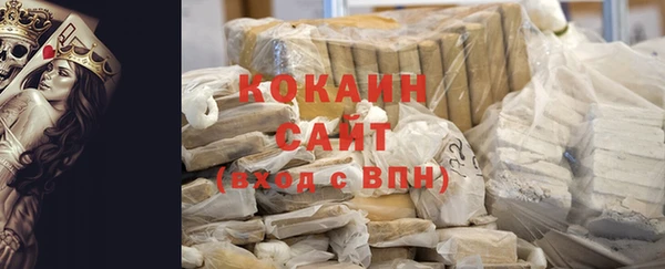 твердый Горняк