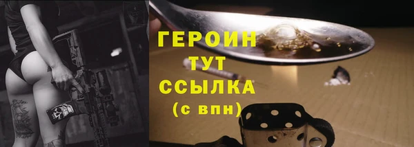 гидра Горно-Алтайск