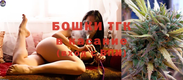 твердый Горняк