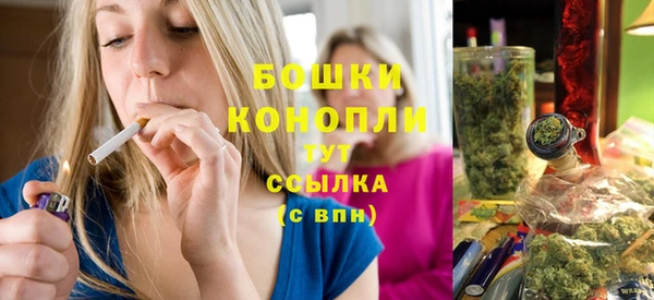 твердый Горняк
