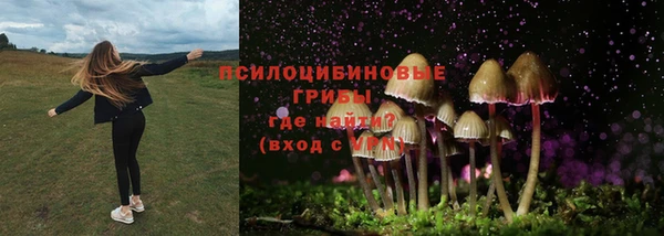 МДМА Горнозаводск