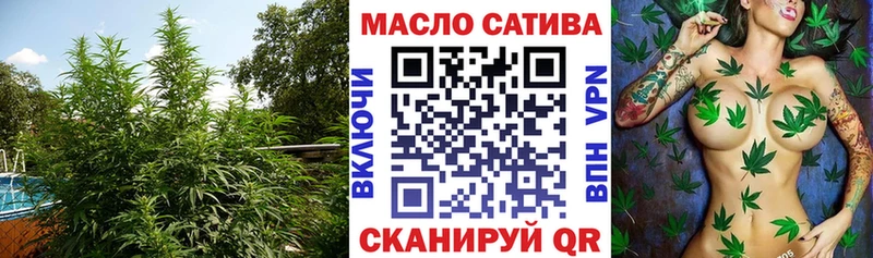 дарнет шоп  Дубовка  ТГК вейп 