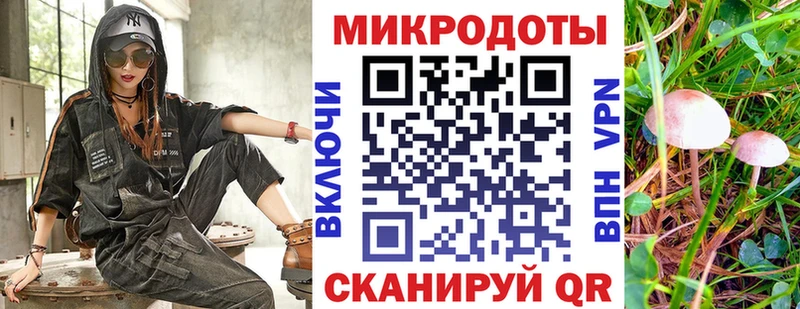 Псилоцибиновые грибы мицелий гидра зеркало Дубовка цена